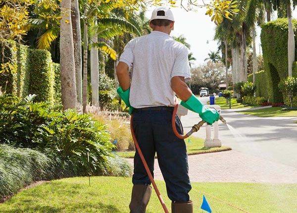 About Stanley WI Pest Control